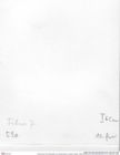 Historisches Foto (Rückseite) von Nodoprosopon ornataum (Meyer, 1842) (NHMW-AFW-GEO-BACHMAYER-FOTO-1990-0041-0520)